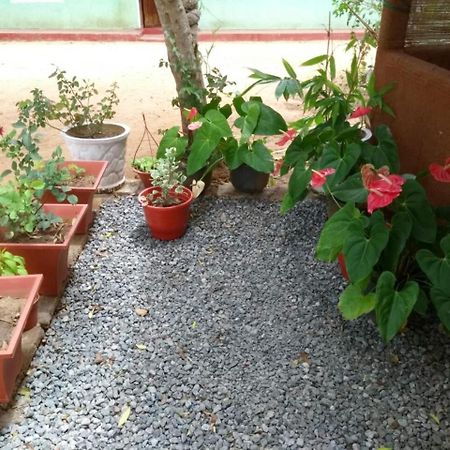 Pawansa Home Stay Habarana Extérieur photo