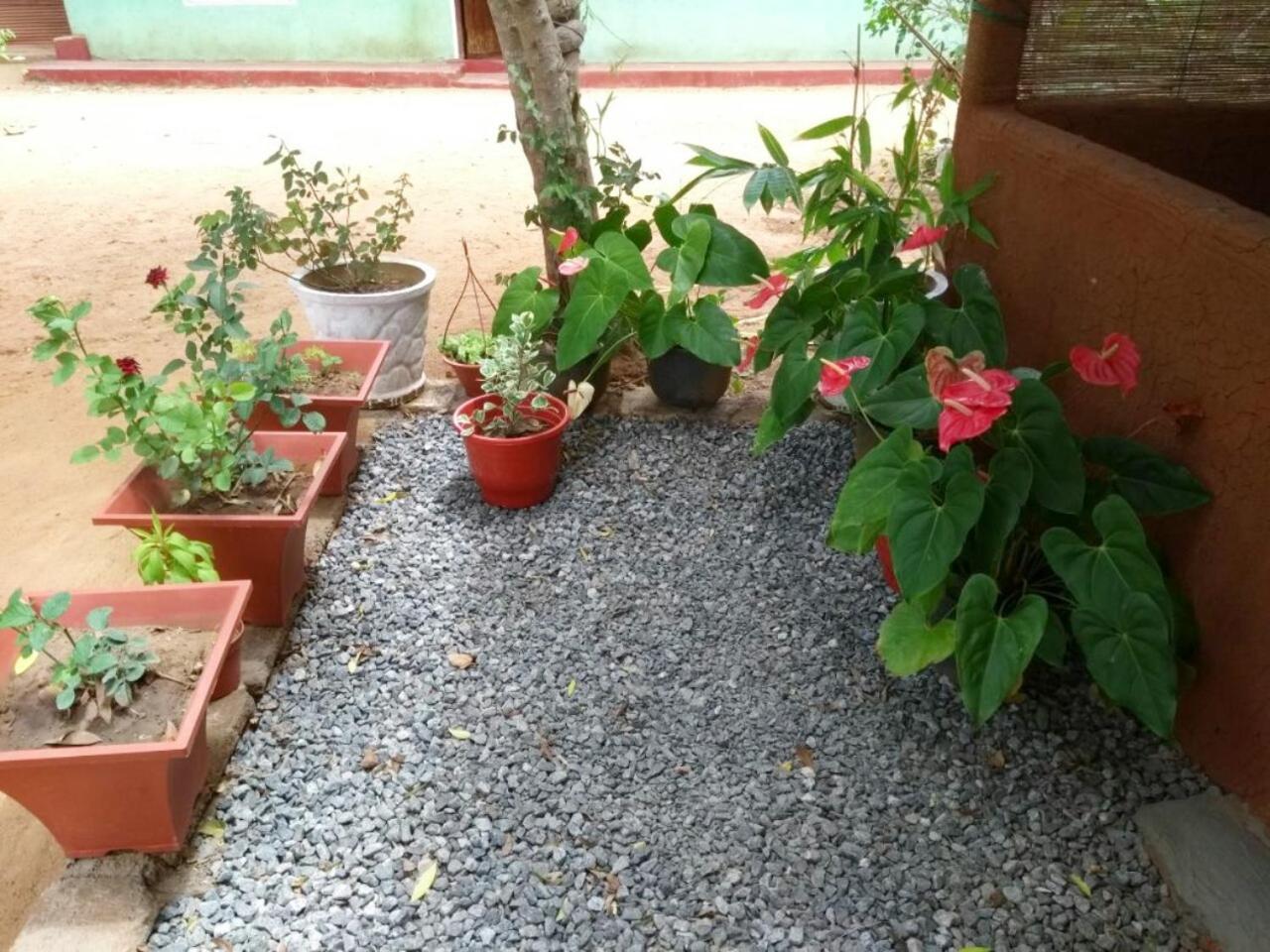 Pawansa Home Stay Habarana Extérieur photo