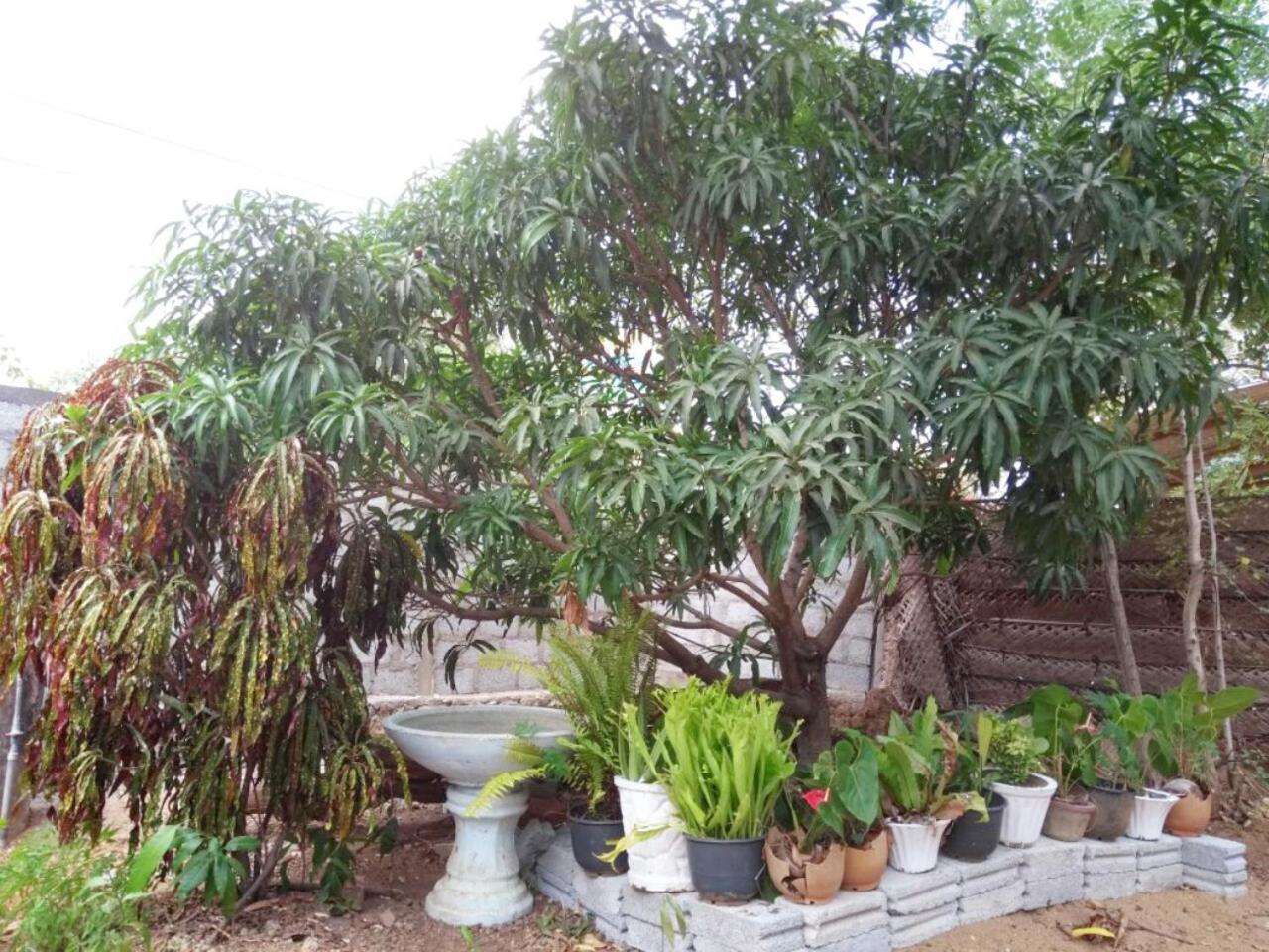 Pawansa Home Stay Habarana Extérieur photo